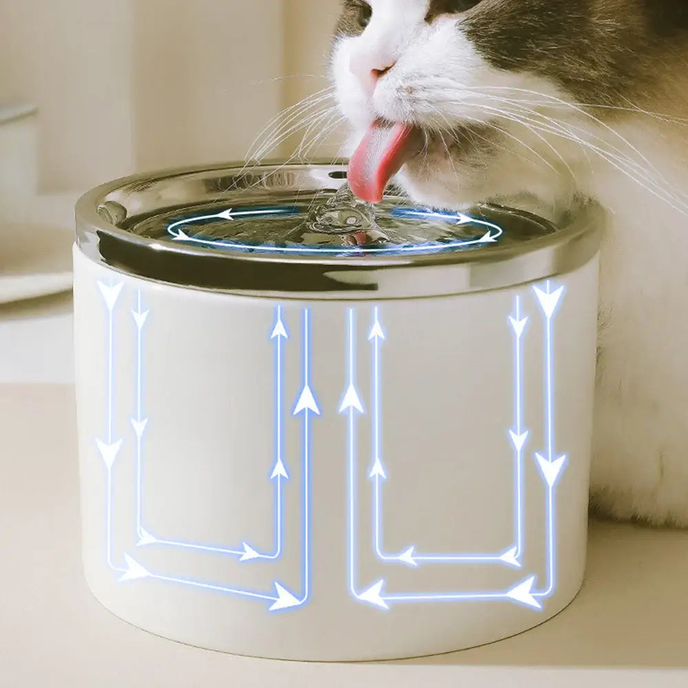 Distributeur d’eau automatique pour chats