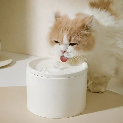 Distributeur d’eau automatique pour chats