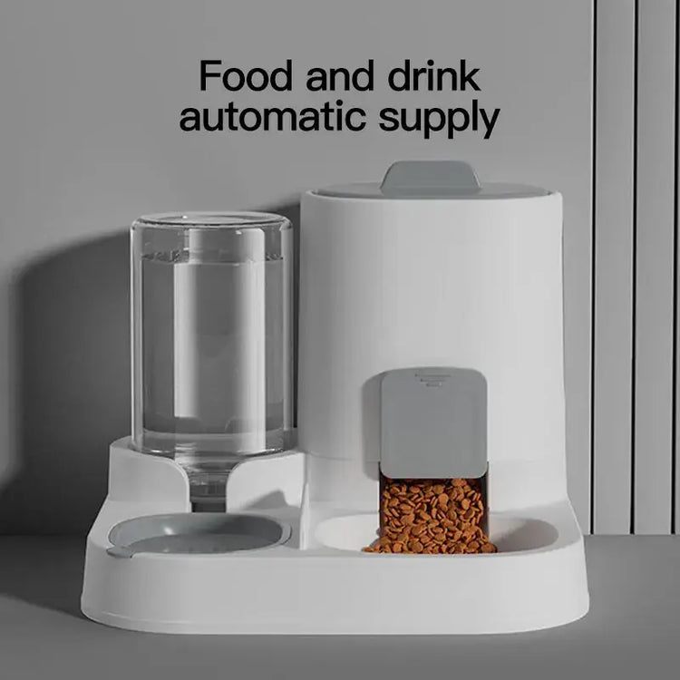 Distributeur d’eau et mangeoire pour chat
