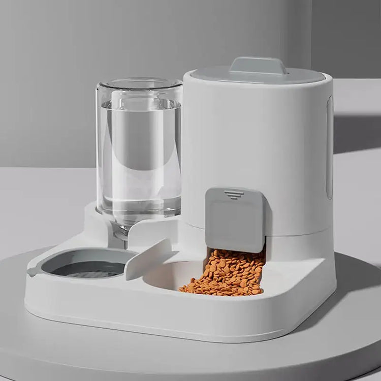 Distributeur d’eau et mangeoire pour chat - Gray