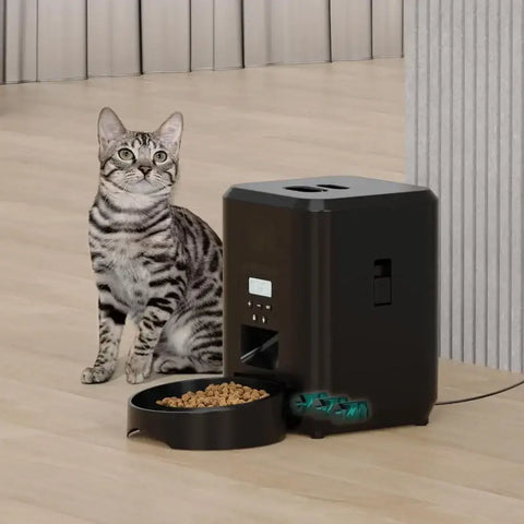 Distributeur intelligent de nourriture pour animaux - Black WIFI Feeder / China Mainland