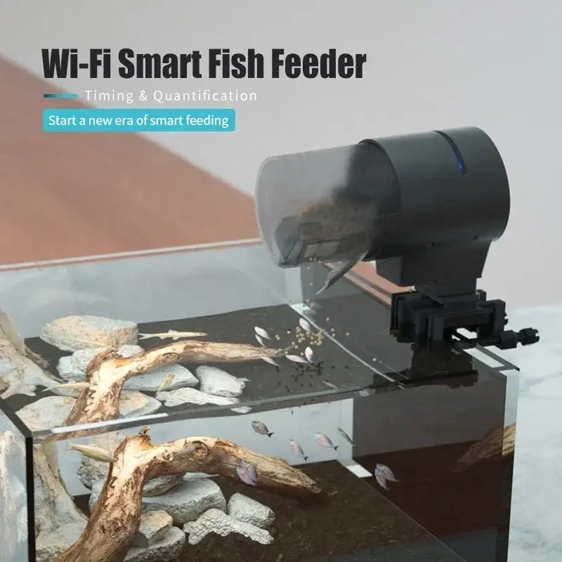 Distributeur Wi-Fi poissons automatique - WI-FI Version