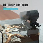 Distributeur Wi-Fi poissons automatique - WI-FI Version