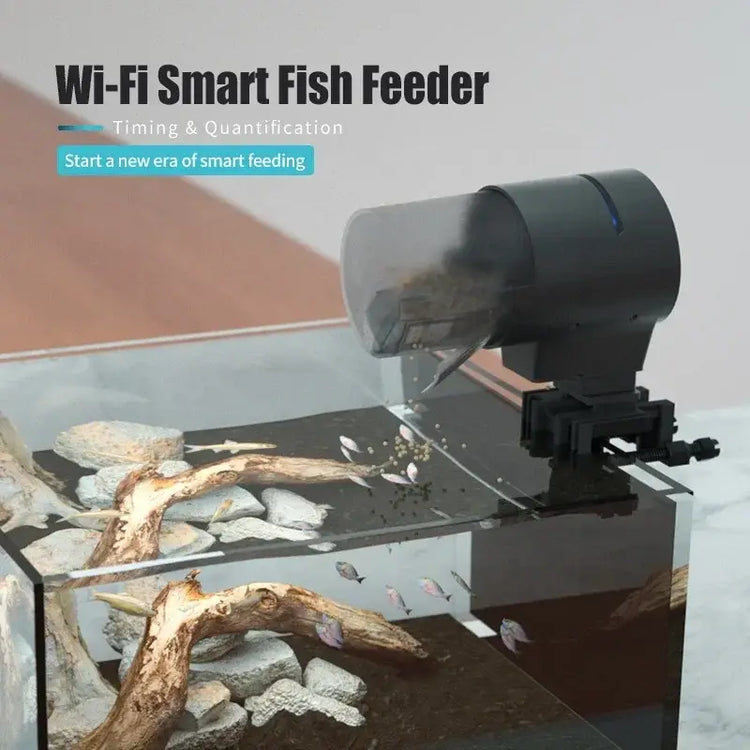 Distributeur Wi-Fi poissons automatique - WI-FI Version
