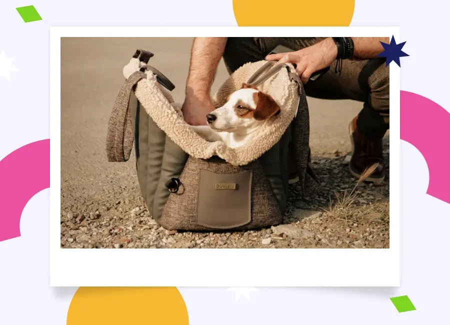 Sac de transport pour petits chiens