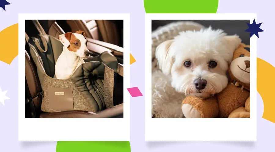 Sac de transport pour petits chiens
