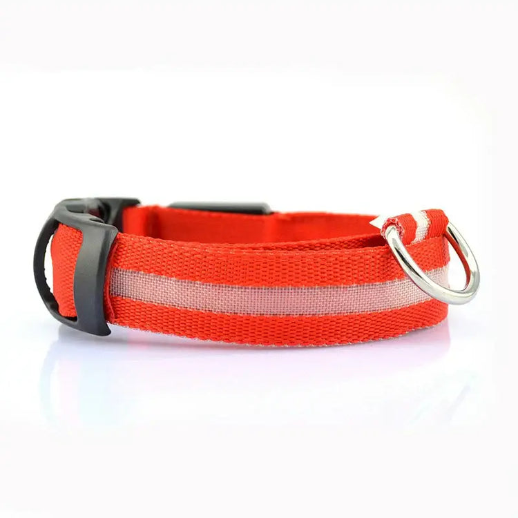 Dog Collar LED Light Electronic Night Safety Anti-Lost Nylon Adjustable Luminous Glowing Collar For Dogs Cats Pet