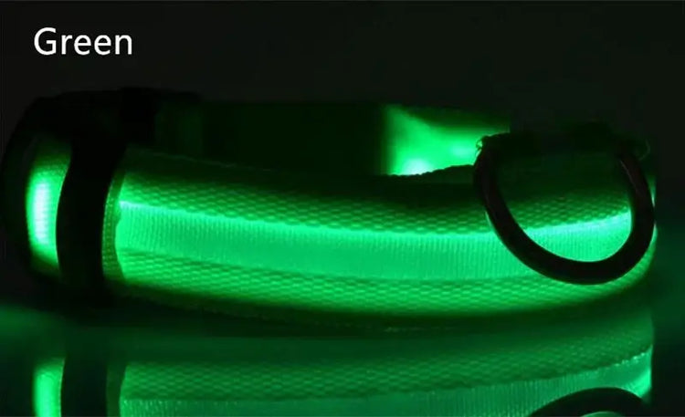 Dog Collar LED Light Electronic Night Safety Anti-Lost Nylon Adjustable Luminous Glowing Collar For Dogs Cats Pet