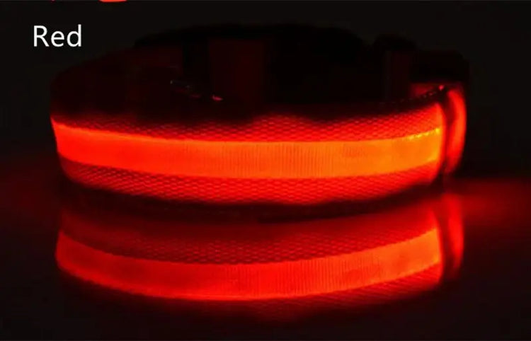 Dog Collar LED Light Electronic Night Safety Anti-Lost Nylon Adjustable Luminous Glowing Collar For Dogs Cats Pet