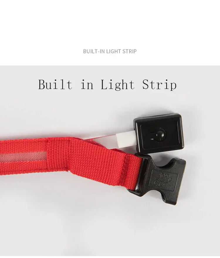 Dog Collar LED Light Electronic Night Safety Anti-Lost Nylon Adjustable Luminous Glowing Collar For Dogs Cats Pet