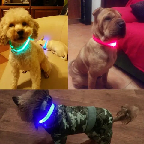 Dog Collar LED Light Electronic Night Safety Anti-Lost Nylon Adjustable Luminous Glowing Collar For Dogs Cats Pet
