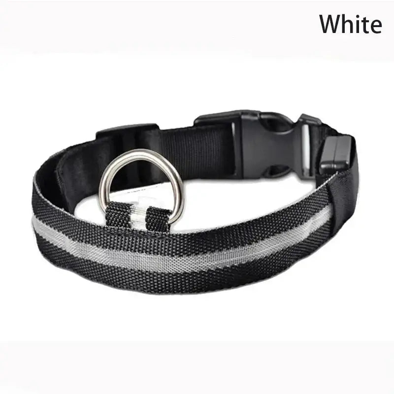 Dog Collar LED Light Electronic Night Safety Anti-Lost Nylon Adjustable Luminous Glowing Collar For Dogs Cats Pet