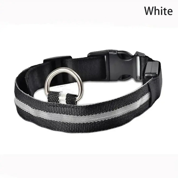 Dog Collar LED Light Electronic Night Safety Anti-Lost Nylon Adjustable Luminous Glowing Collar For Dogs Cats Pet