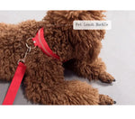 Dog Collar LED Light Electronic Night Safety Anti-Lost Nylon Adjustable Luminous Glowing Collar For Dogs Cats Pet