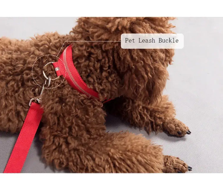 Dog Collar LED Light Electronic Night Safety Anti-Lost Nylon Adjustable Luminous Glowing Collar For Dogs Cats Pet