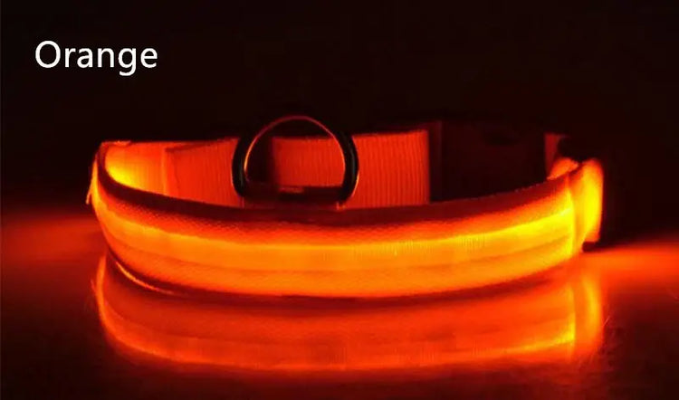 Dog Collar LED Light Electronic Night Safety Anti-Lost Nylon Adjustable Luminous Glowing Collar For Dogs Cats Pet