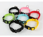 Dog Collar LED Light Electronic Night Safety Anti-Lost Nylon Adjustable Luminous Glowing Collar For Dogs Cats Pet
