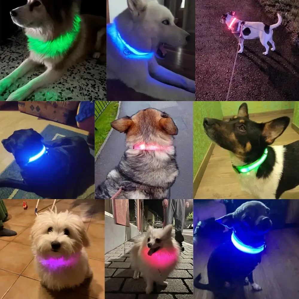 Dog Collar Nylon LED Night Safety Flashing Glow In The Dark Pet Dog Leash pet Dogs Luminous Fluorescent collar dog
