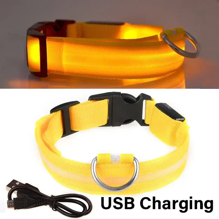 Dog Collar Nylon LED Night Safety Flashing Glow In The Dark Pet Dog Leash pet Dogs Luminous Fluorescent collar dog