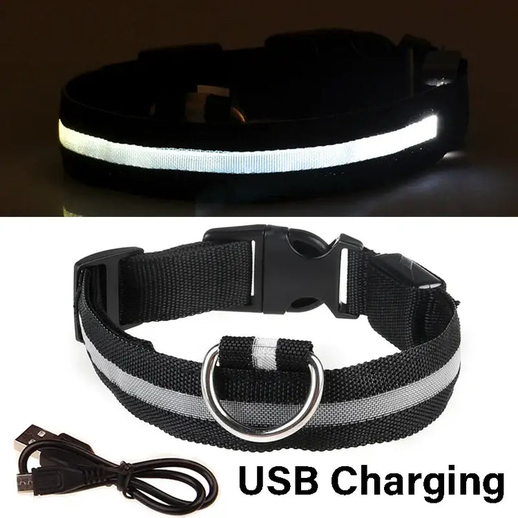 Dog Collar Nylon LED Night Safety Flashing Glow In The Dark Pet Dog Leash pet Dogs Luminous Fluorescent collar dog