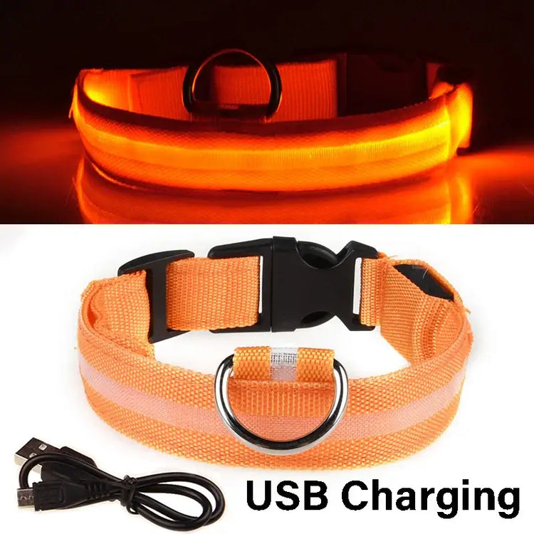 Dog Collar Nylon LED Night Safety Flashing Glow In The Dark Pet Dog Leash pet Dogs Luminous Fluorescent collar dog