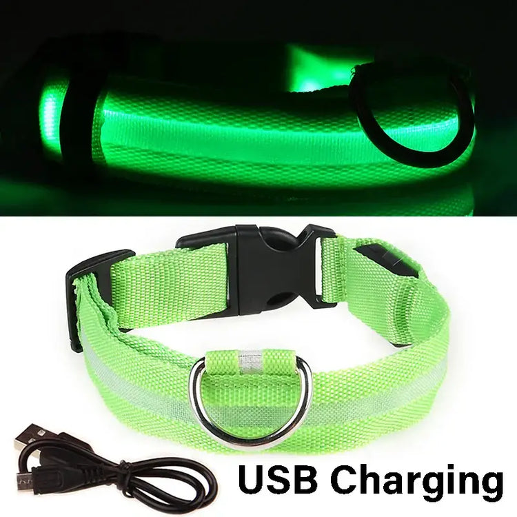 Dog Collar Nylon LED Night Safety Flashing Glow In The Dark Pet Dog Leash pet Dogs Luminous Fluorescent collar dog