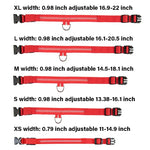 Dog Collar Nylon LED Night Safety Flashing Glow In The Dark Pet Dog Leash pet Dogs Luminous Fluorescent collar dog