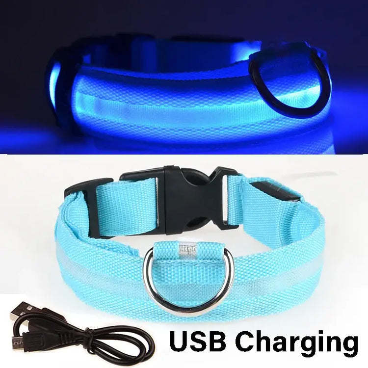 Dog Collar Nylon LED Night Safety Flashing Glow In The Dark Pet Dog Leash pet Dogs Luminous Fluorescent collar dog