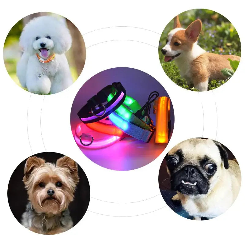 Dog Collar Nylon LED Night Safety Flashing Glow In The Dark Pet Dog Leash pet Dogs Luminous Fluorescent collar dog