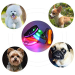Dog Collar Nylon LED Night Safety Flashing Glow In The Dark Pet Dog Leash pet Dogs Luminous Fluorescent collar dog