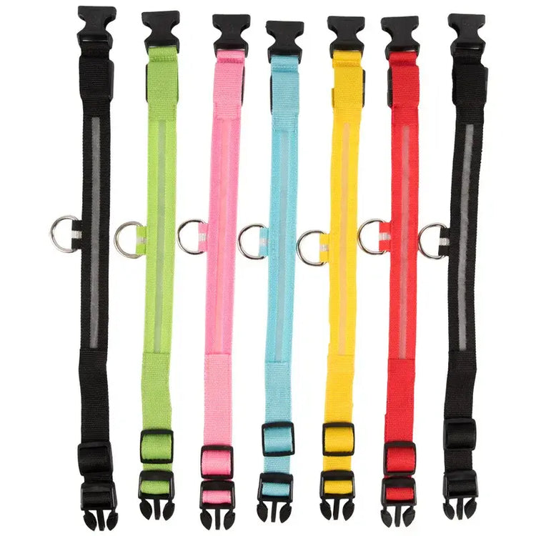 Dog Collar Nylon LED Night Safety Flashing Glow In The Dark Pet Dog Leash pet Dogs Luminous Fluorescent collar dog