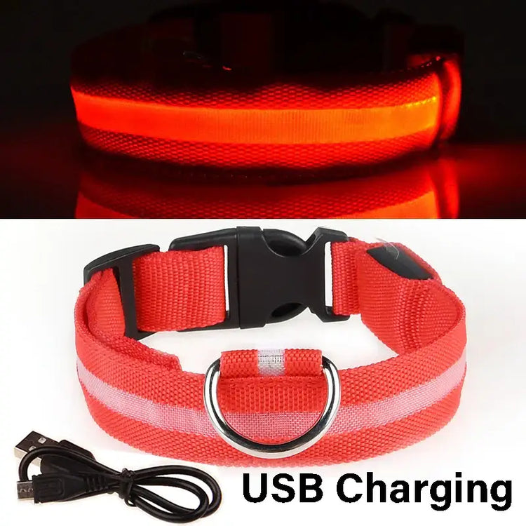 Dog Collar Nylon LED Night Safety Flashing Glow In The Dark Pet Dog Leash pet Dogs Luminous Fluorescent collar dog