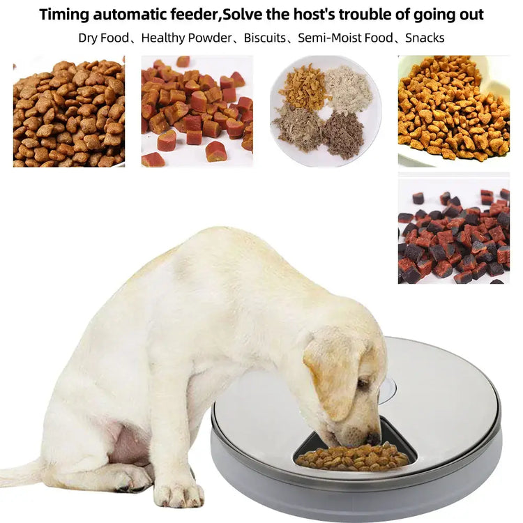 Dog Feeder Automatic Pet Feeder Round Timing Feeder 6 Meals 6 Grids Dog Cat Electric Dry Food Dispenser 24 Hours Feed