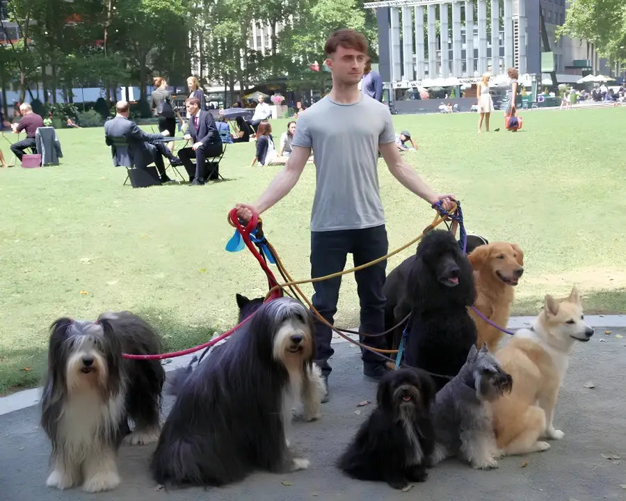 une femme en pull beige en laine embrasse un golden retriever lors d une promenade simplifiée avec son chien