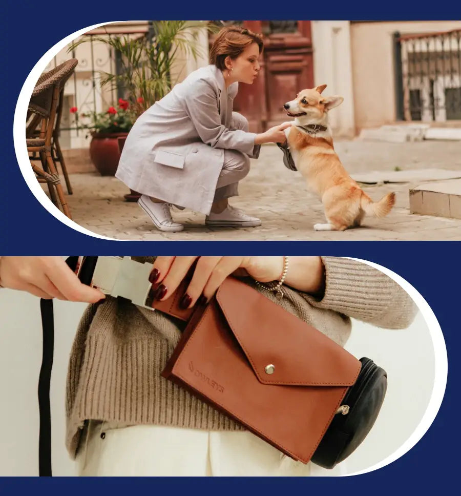 Sac pour promener le chien
