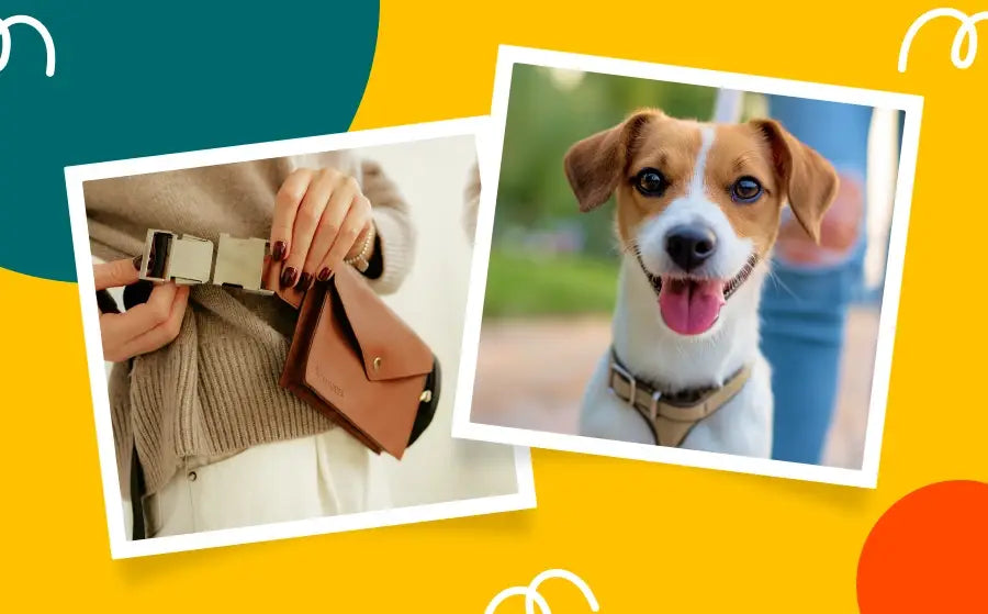 Sac banane pour promener son chien