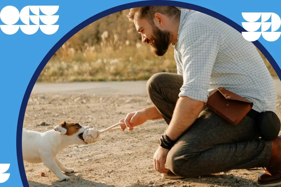 Sac pour promener le chien