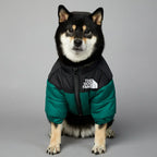 Doudoune pour chien