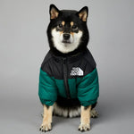 Doudoune pour chien