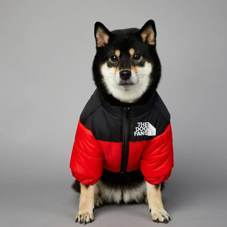 Doudoune pour chien