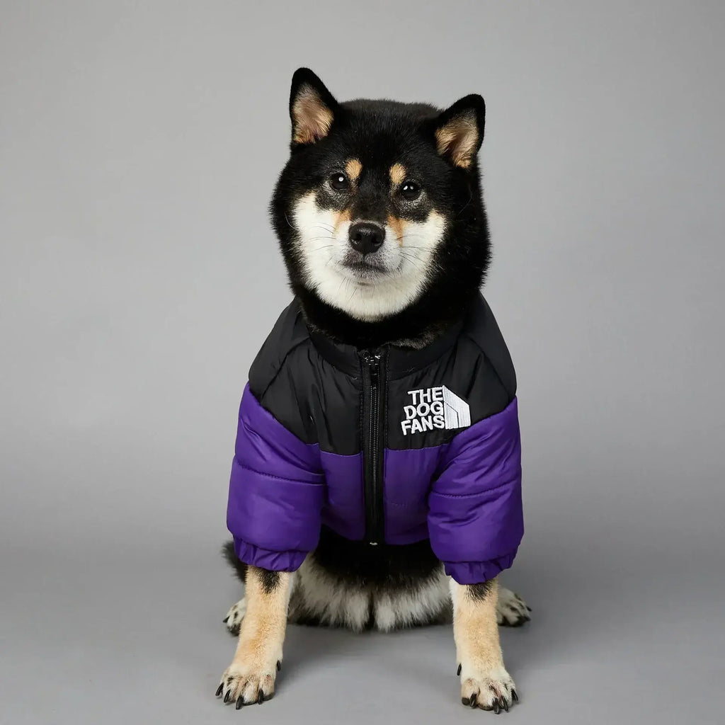 Doudoune pour chien
