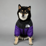 Doudoune pour chien