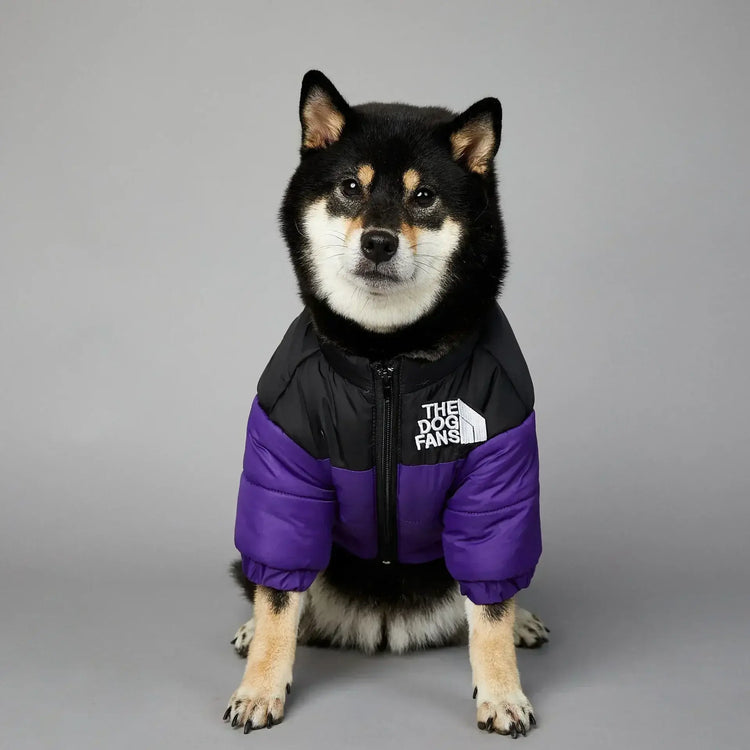 Doudoune pour chien