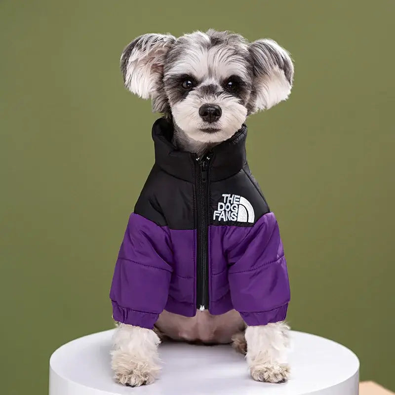 Doudoune pour chien - PURPLE / XXXL