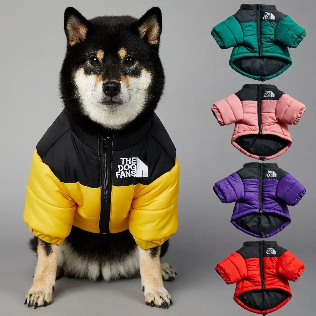 Doudoune pour chien