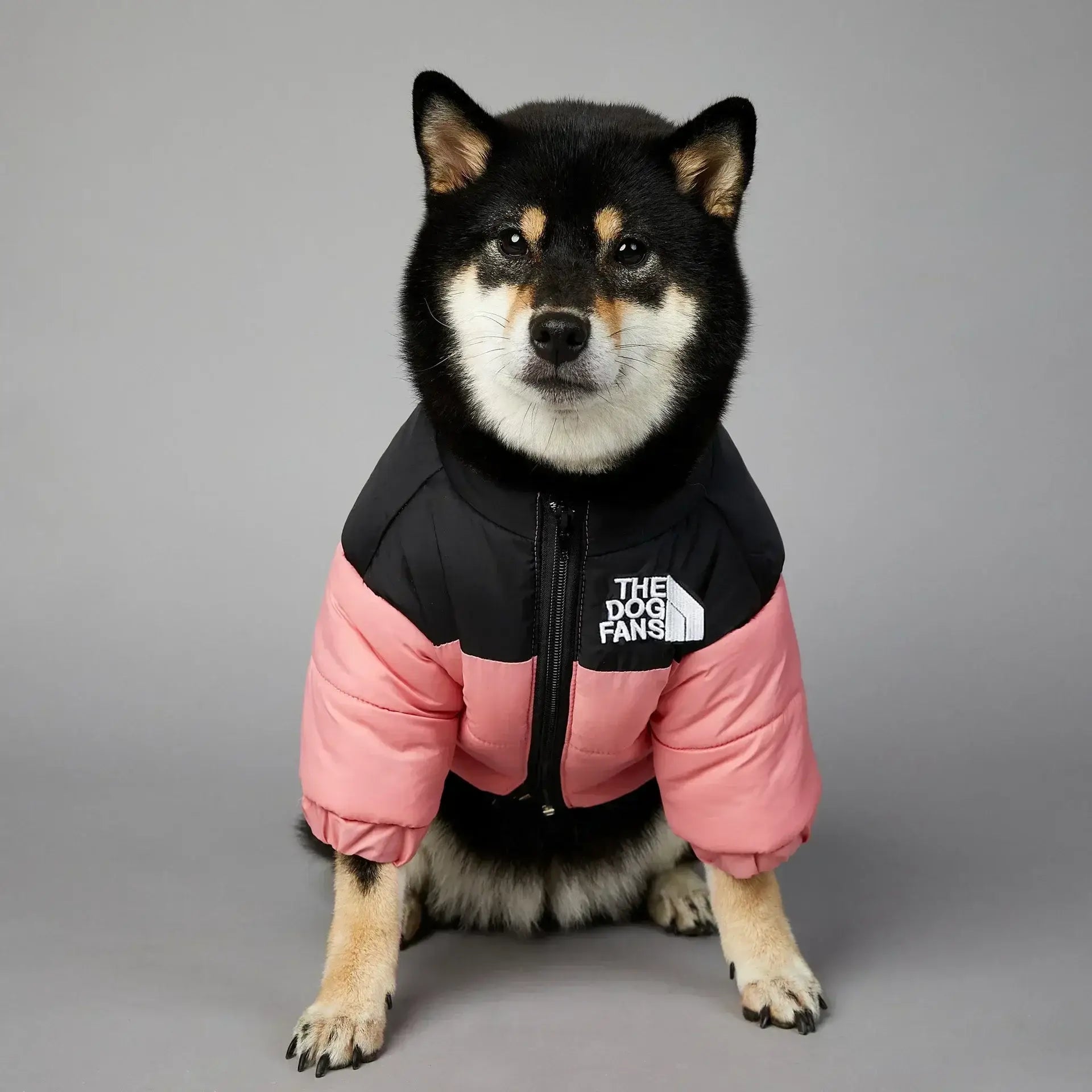 Doudoune pour chien