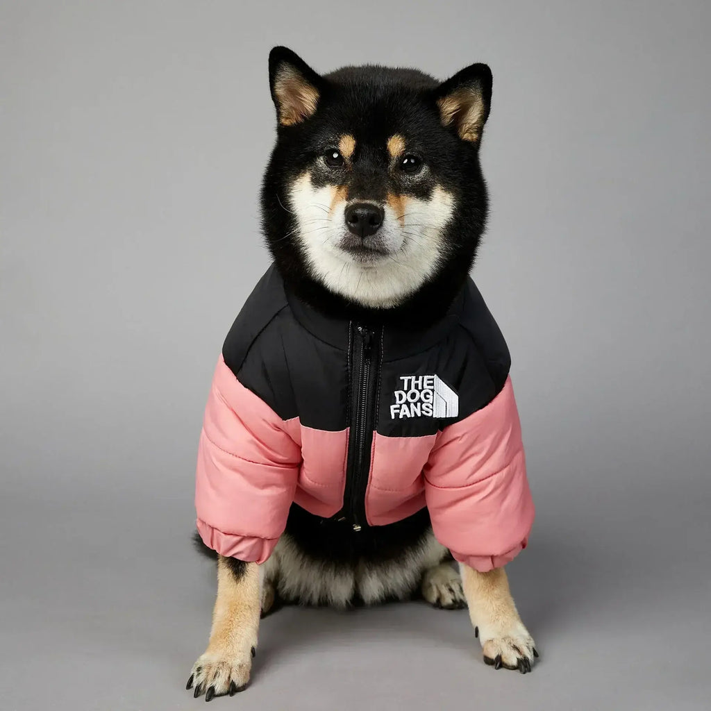 Doudoune pour chien