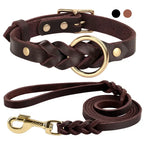 Ensemble collier et laisse en cuir pour chien
