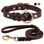 Ensemble collier et laisse en cuir pour chien