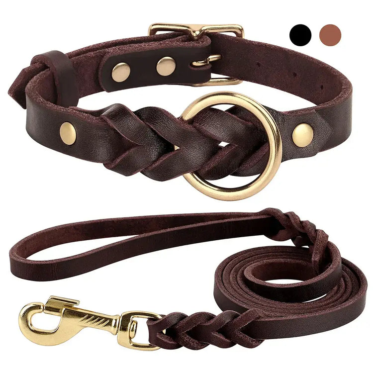 Ensemble collier et laisse en cuir pour chien